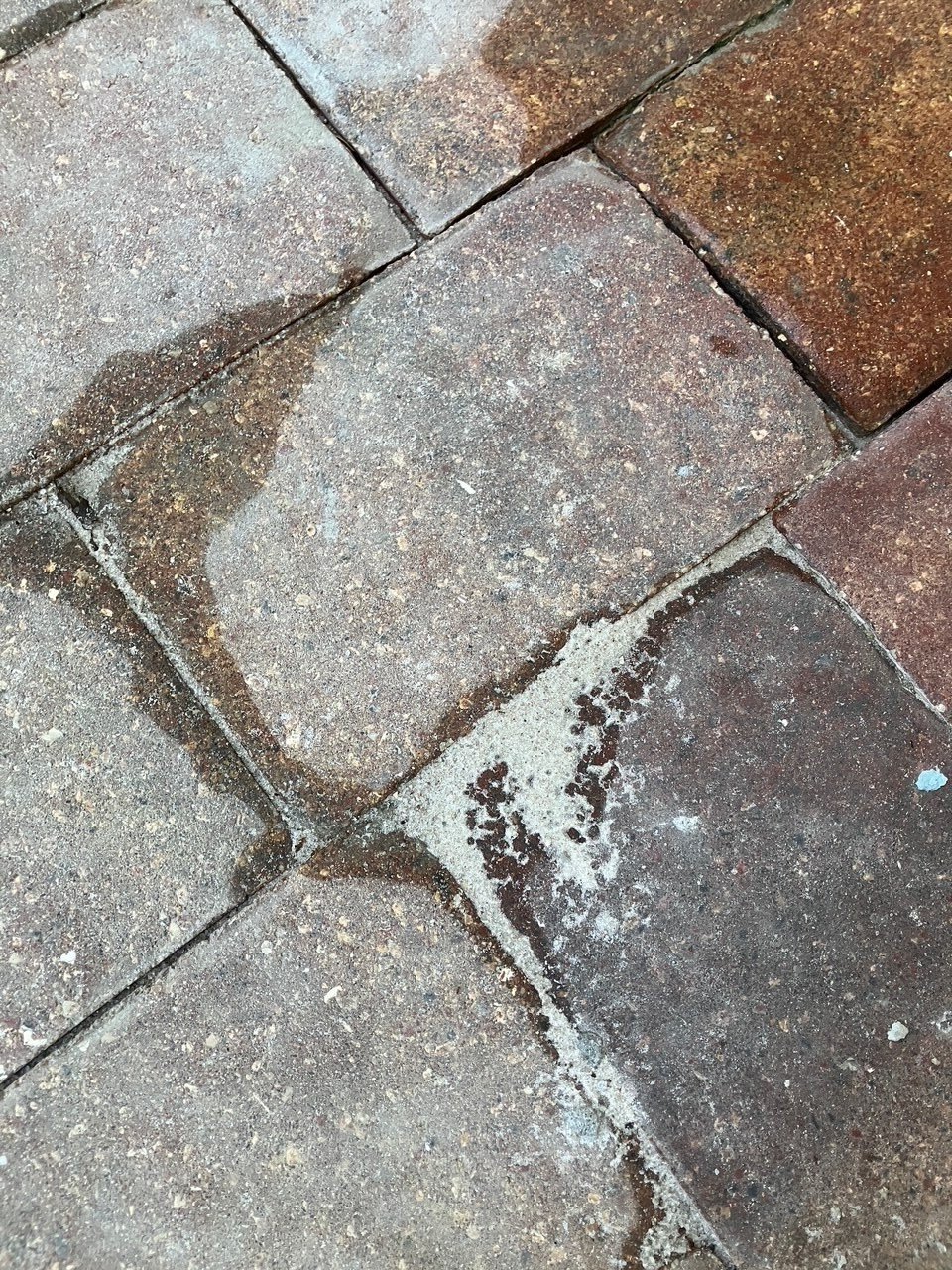 P02.jpg